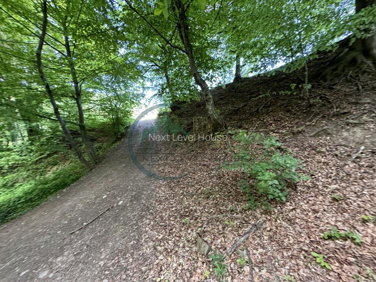 Teren exceptional Valea Dobarlaului - oportunitate investitie - 7