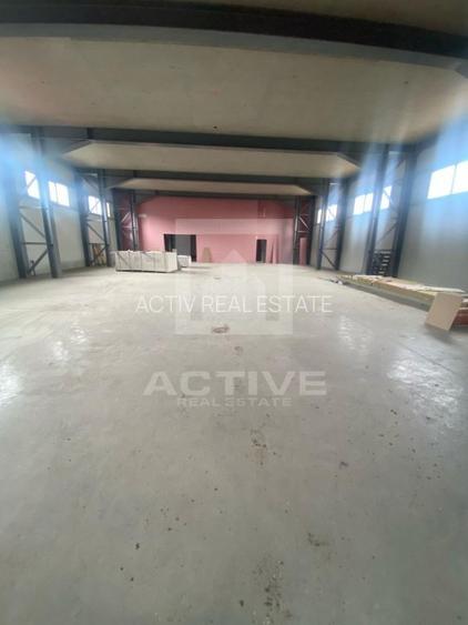 Hala cu curte proprie -zona napolact - 8