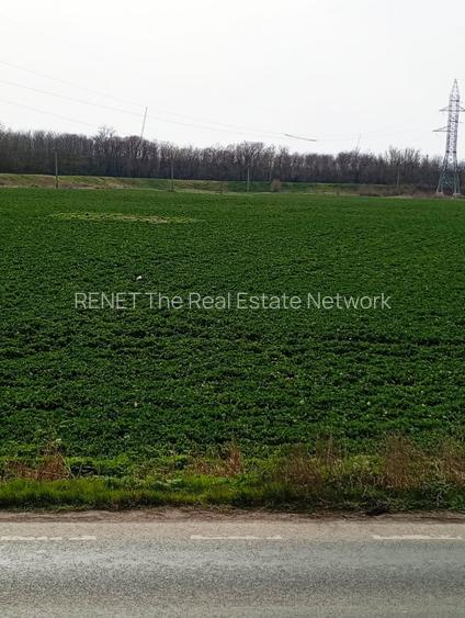 Teren intravilan 5.000 m² cu 40 m deschidere la DN2A – lângă Kaufland Slobozia - 9