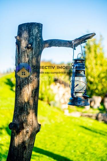  Oportunitate de Investitie! Afacere la Cheie in Turism – Disponibila Acum! - 12