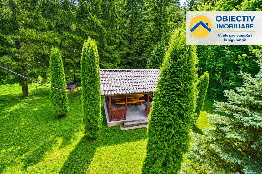 Cabană de Vânzare în Tarcău – Natură, Relaxare și Pescuit la Poartă! - 9