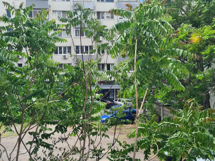 Apartament 2 camere Sala Palatului etajul 1/9 mobilat pentru birou sau nemobilat - 21