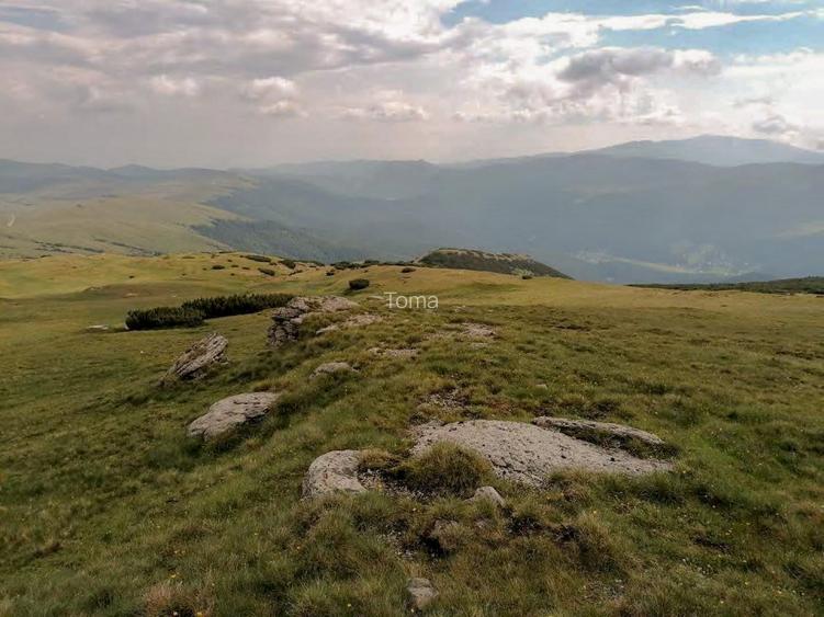 Bucegi zona alpina Ski Resort Padina Pestera  - 13