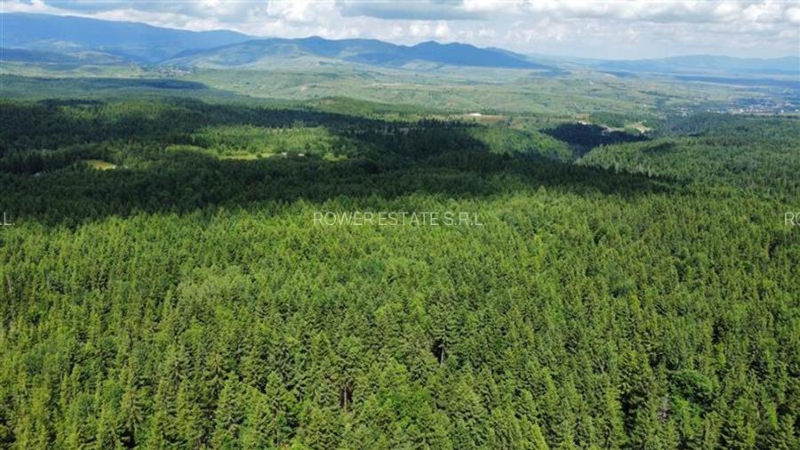 Cabana - Casa de vacanta situata in Calatele Padure! - 11