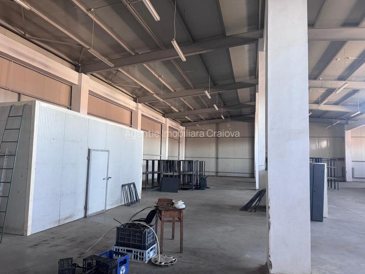 🏭 Hală + Clădire Birouri|2000mp teren | Acces TIR | Zonă Logistică Est Craiova - 11