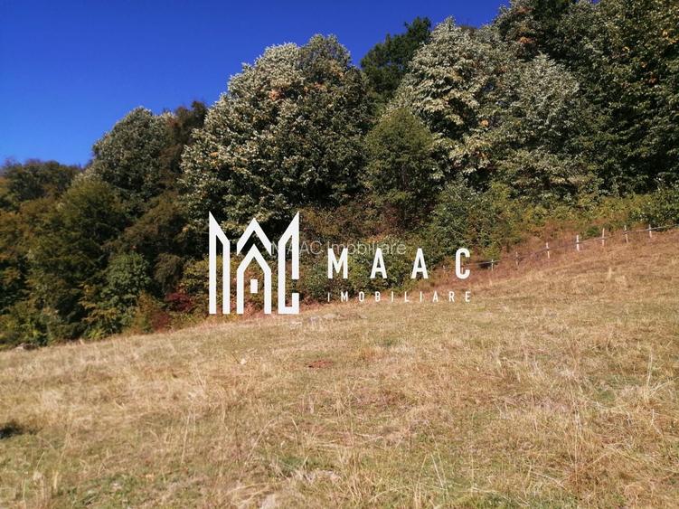 Teren Extravilan 20.000Mp I Stoenești -Vâlcea I Apă Curentă și Pădure - 14