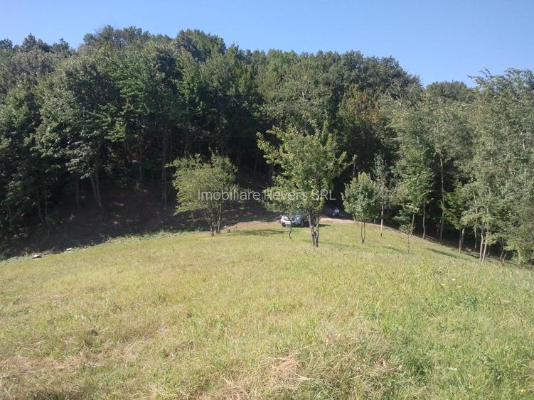 Teren livadă cu panoramă superbă Dealul Malului pentru casă sau cabană - 13
