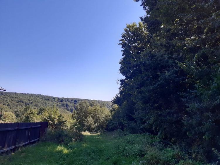 OPORTUNITATE: 4.400 mp la marginea PADURII, langa VILE NOI, toate UTILITATILE