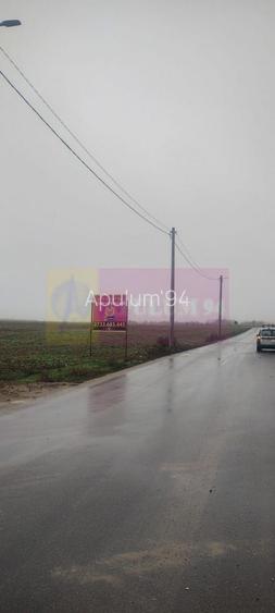 Dragomiresti-Vale, lângă Șoseaua de Centură, pretabil hale, productie - 3