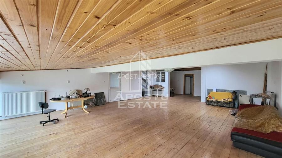 Casa ideala pentru birouri/alte activitati Mehala - 6