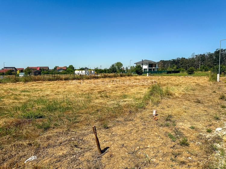 Teren 1116 mp gulia Eden Forest - 4