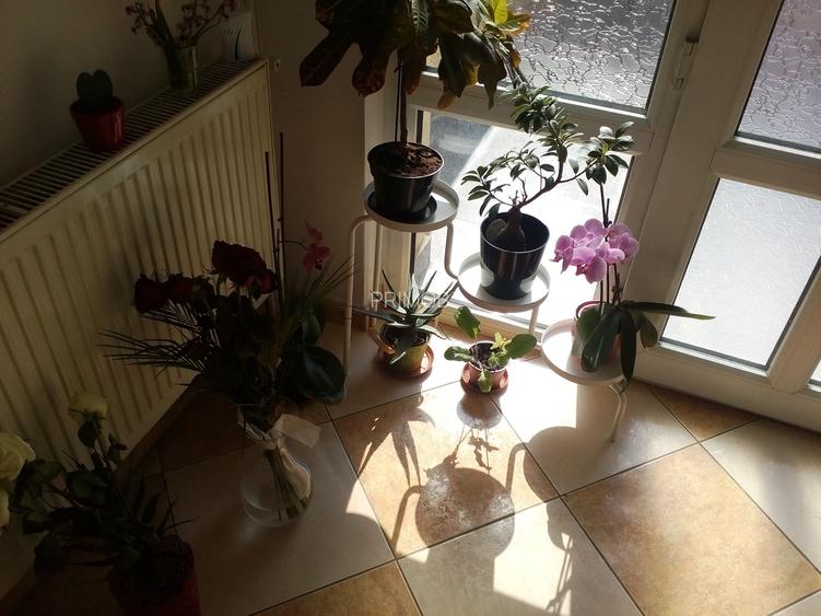 Izbiceni-Damaroaia-Casa Presei,P+E+M,zona verde,aerisita,casa luminoasa,6 camere - 2