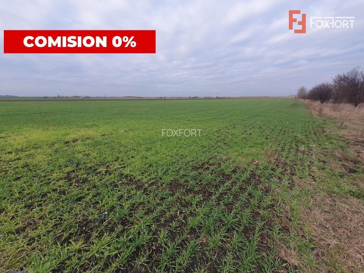 Comision 0% Teren extravilan agricol 21,32 ha sau intravilan cu PUZ aprobat - 14