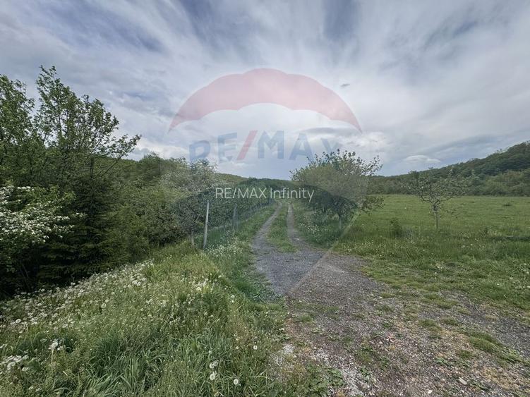 Proprietate OFF-GRID 5,76 Ha. Casa tradiționala lemn. Limită Cluj - 25