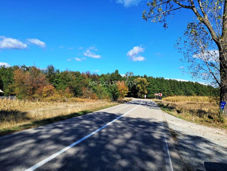 TEREN INTRAVILAN ȘI EXTRAVILAN BAIA DE FIER - 9
