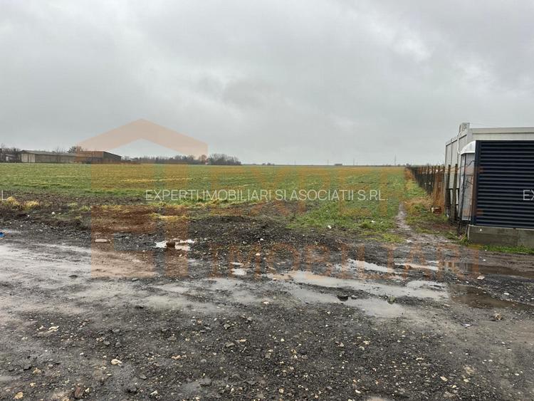 Teren 14.785 mp , zona Ovidiu, Constanta - 4