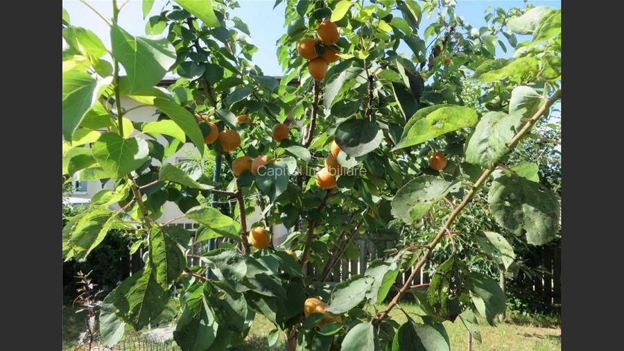 House for sale, 3 Rooms, 121 sqm, Giurgiu - 12