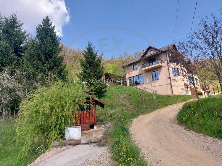 Casa imbratisata de padure - Valea Ursului, Bascov - 14