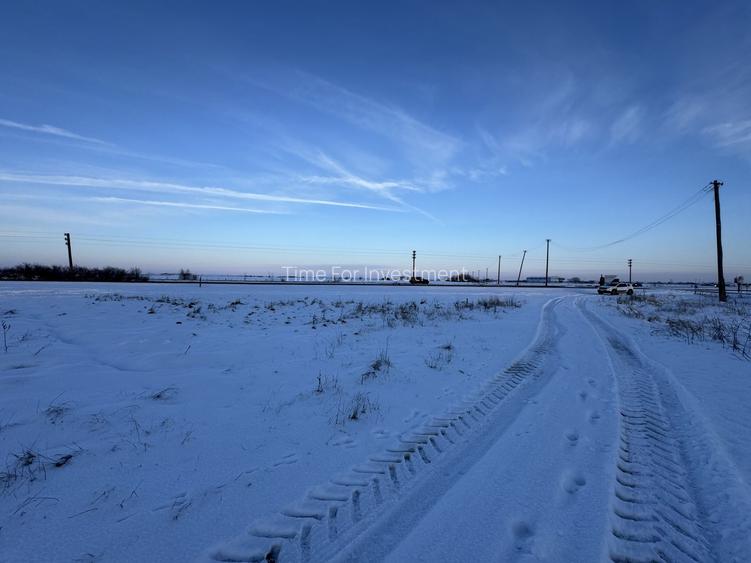Vand Teren Extravilan Becicherecu Mic(zona industriala) 18.000mp,Utilitati - 5