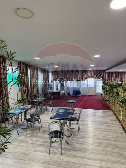 Casă / Vilă cu 8 camere de vânzare în zona Central - 14