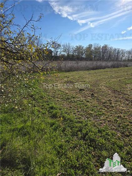 Teren intravilan, 3751mp oportunitate de investitie, cu utilitati, comuna Daia, - 3