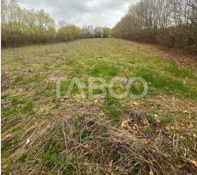 Teren intravilan pentru casa zona linistita 550 mp front 21 m Cisnadie - 4