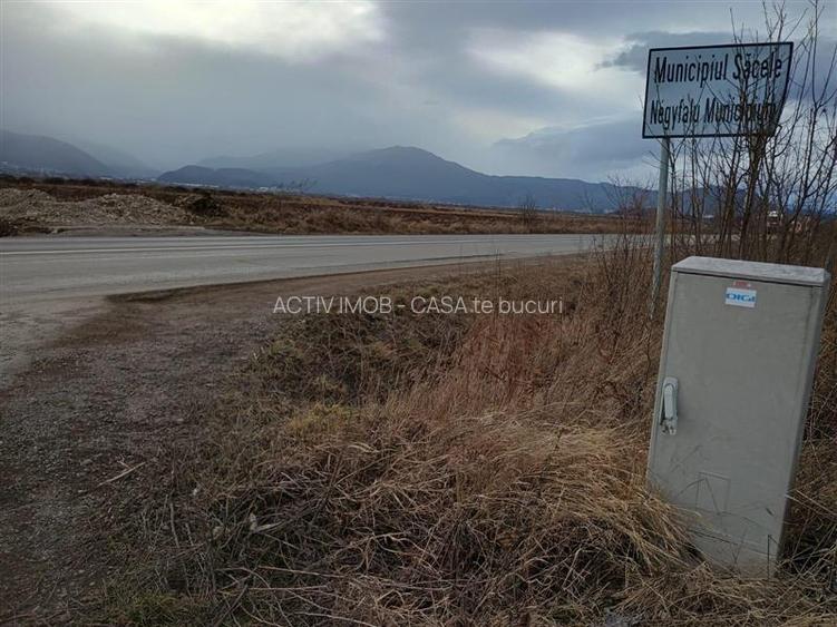 Teren 9000 mp Sacele Izvor, front 356 m la DJ 103A - 10