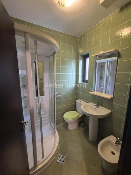 Inchiriere Vila P+1 Paradisul Verde Corbeanca (Direct Proprietar) - 13