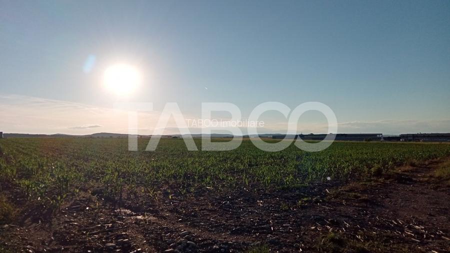 Teren intravilan 2 ha deschidere drum zona Industriala Vest Sibiu - 5