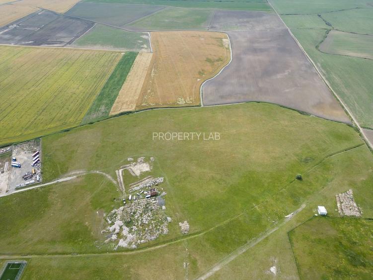 Teren intravilan de 29,970mp Sacalaz - 23