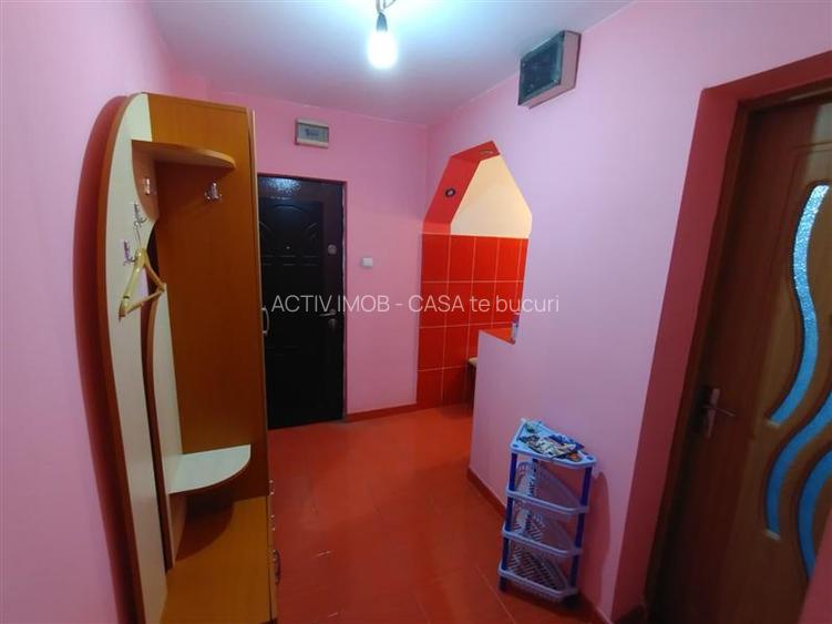 Oravita, 2 Cam, Parter, Conf.1, Mobilat+Utilat, Usor Negociabil - 8