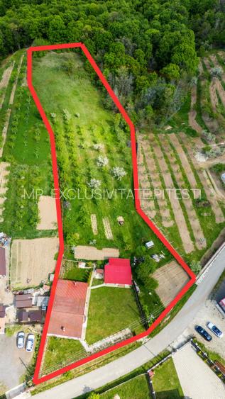 Casa cu teren generos si gradina spectaculoasa – Comuna Cuca, Arges! - 2