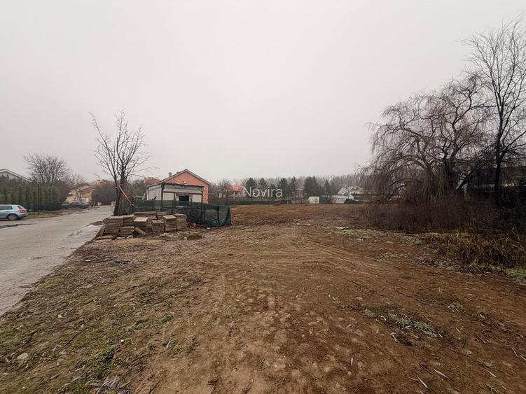 Teren Snagov - Cioflinceni | Drum amenajat | Aproape de Padure si Lac - 5