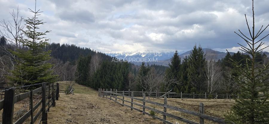 Teren intravilan construibil Brasov Bran  Poarta utilitati vedere spre munti - 11