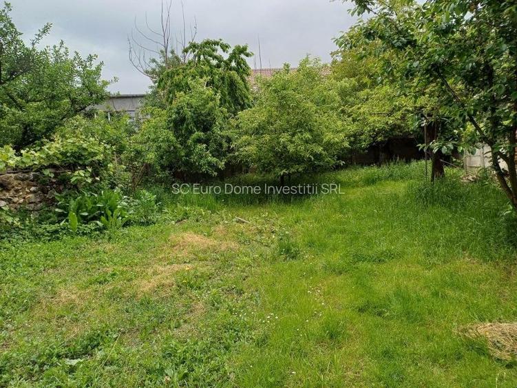 Casa batraneasca solida in zona semicentrala foarte linistita - 9
