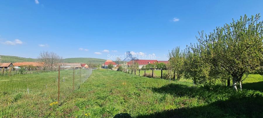 Casa de vanzare \ Hosman - Sibiu - 4