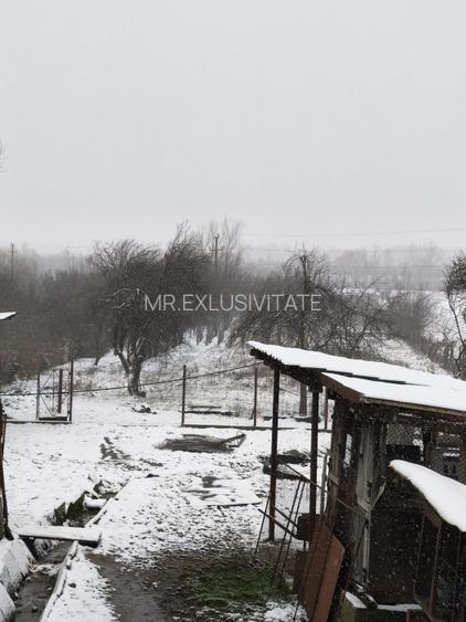 Proprietate rară – 2 case + livadă, vie și teren generos, la 20 km de Târgu Jiu - 16