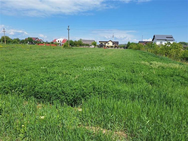 Teren intravilan 3177 mp, zona Serbanesti - 4