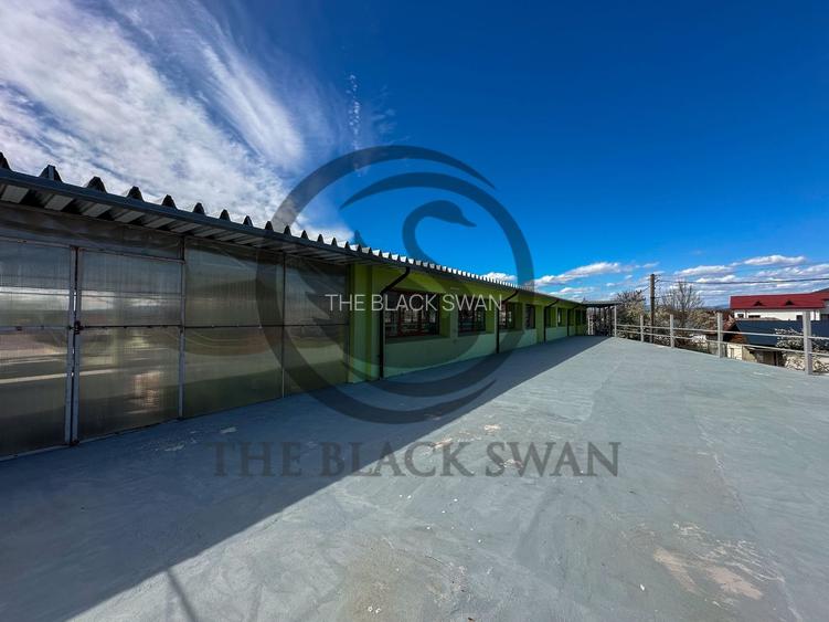 Spațiu/Hala de inchiriat | 800 mpu | Magurele - Prahova | Comision 0% - 7