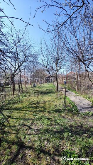 Casa alipita, singur in curte, 90 mp utili, anexe, teren 625mp, Db Rotund - 3