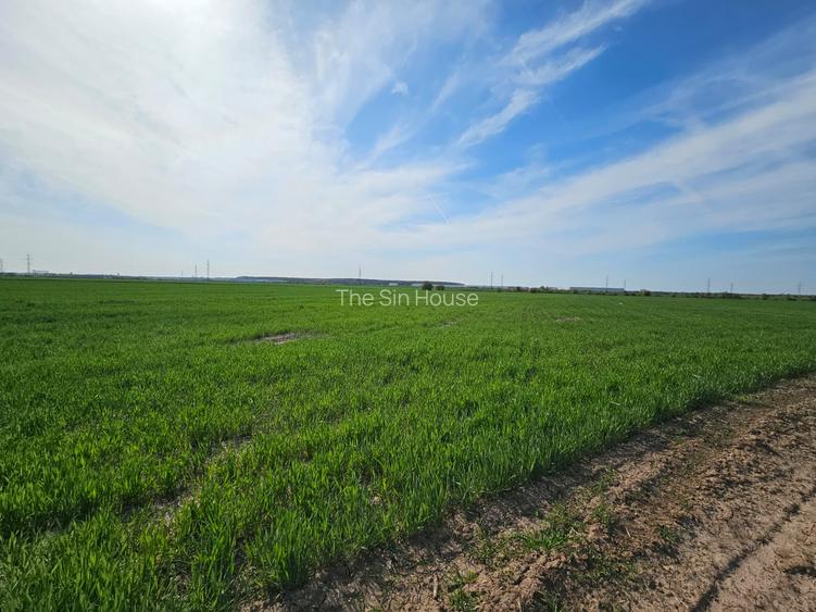 Teren A0 Afumați: 3303-7.569mp Front Generos 78m Ideal Logistic/Hale - 4