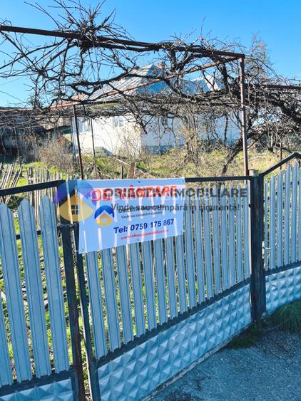 CASA traditionala BODESTII DE JOS - 9