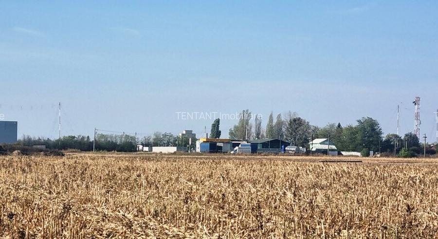 Vanzare Teren industrial  Magurele 4000mp - 9