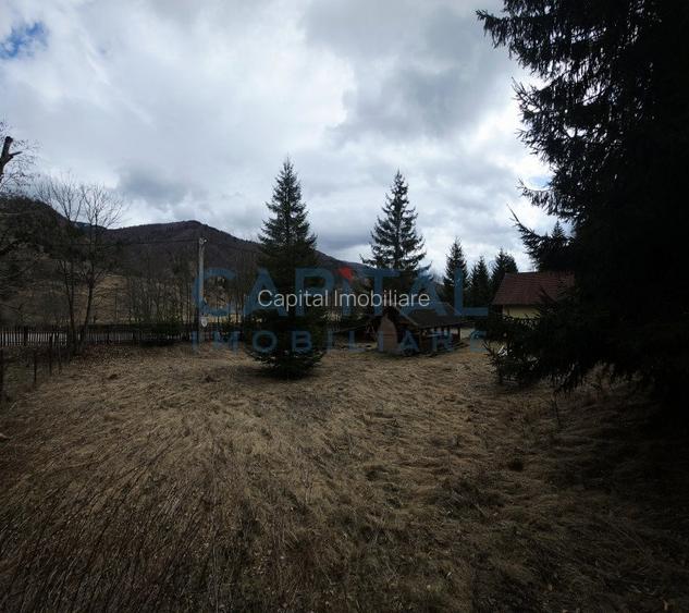 Cabana la munte Rucar / Satic - 23