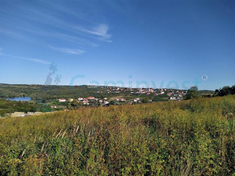 Teren intravilan de vanzare pentru dezvoltare imobiliara, Saldabagiu de Munte - 2