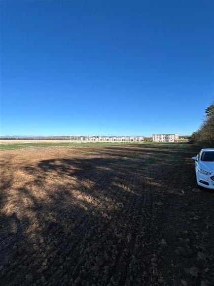 Magnolia Village | Teren 30.000 mp perfect pentru dezvoltare - 5