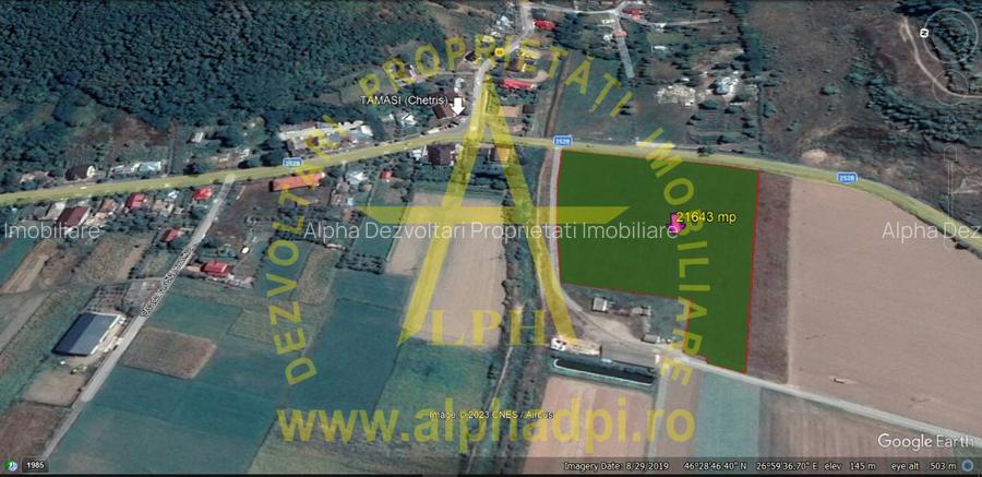 Bacau com. Tamași teren intravilan 21643 mp - 3