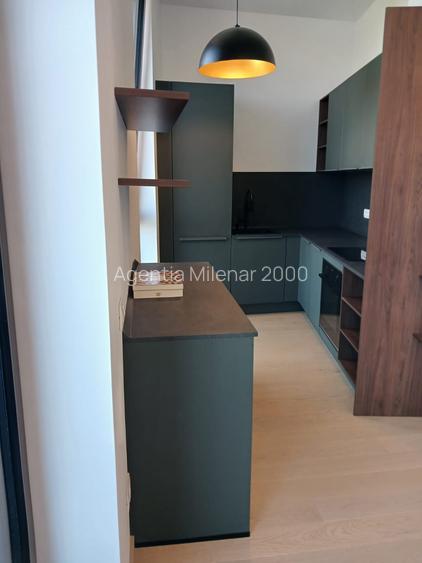 Locatie privilegiata: La ISHO cu Vedere către Râul Bega - 16