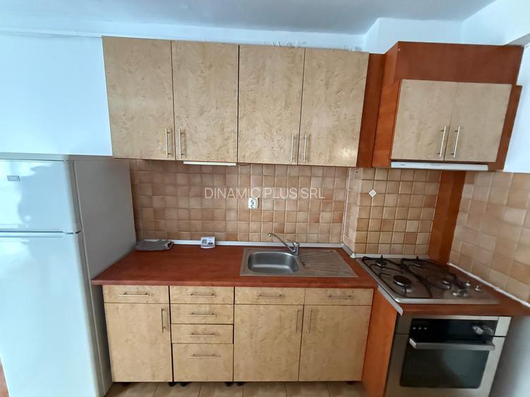 Apartament de lux de închiriat în Ștrand, lângă Parcul Sub Arini - 9