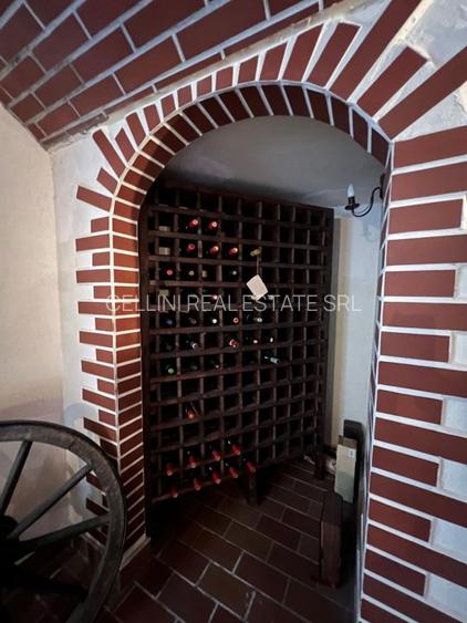 Vila de vis cu parc privat  — Panoramă Unică Spre Crucea Caraiman, - 15